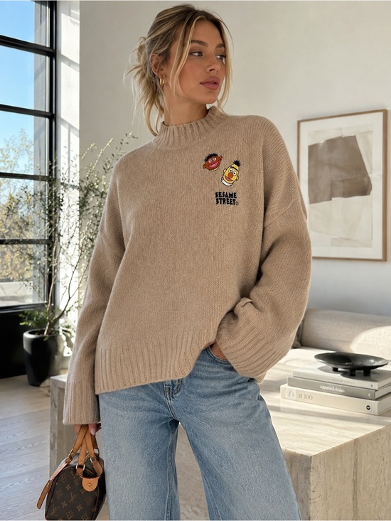 H&M Sweaters - H&M Bert n’ Ernie Mock Neck Sweater NWOT